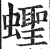 蛏(印刷字体·明·洪武正韵)