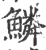 鱗(印刷字体·宋·广韵)